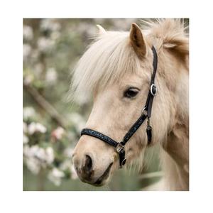 Sillín de estilo inglés de alta calidad, cabestro metálico dorado Floral, charol, nailon, accesorio elegante inteligente de estilo occidental - Product Image 4