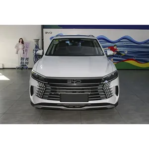 Soldes Exceptionnelles : Voiture Électrique Sea Lion 05 DM - Product Image 2