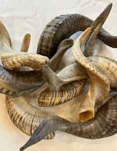 Escala de cuchillo de acero al carbono natural de la mejor calidad al por mayor Placa de cuerno de oveja con escala de cuerno de carnero diseño sin pulir - Product Image 6