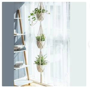 Customized Macrame Plant Hanger for <b>Wall</b> and Window Decoration - Product Image 1