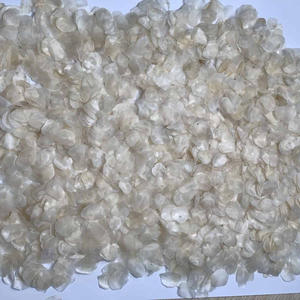 Suplemento especial de colágeno en polvo de escamas de pescado marino escamas de pescado seco de la mejor calidad y el mejor precio en Vietnam - Product Image 1