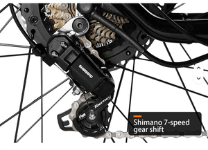 มอเตอร์ Antelope Pro 750W Bafang รับน้ำหนักได้ 400 ปอนด์ แบตเตอรี่คู่ โครงสร้าง AL6061 จอแสดงผล KT-LCD10H - Product Image 3