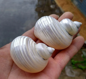แหวนรองผ้าเช็ดปากทรงเปลือกหอยรักษ์โลก ดีไซน์ศิลปะพื้นบ้านสมัยใหม่ ทำด้วยมือที่วังเตา เวียดนาม สำหรับงานอีเว้นท์และโรงแรม - Product Image 2