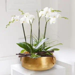 Cuenco de Cerámica Escultural de Diseño, Pieza Decorativa Artística de Lujo para el Hogar, Ecológica, para Plantas, con Acabado Plateado - Product Image 2