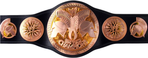 Champ King Wrestling Championship Belts Trophées Médailles et récompenses-Matériau en alliage de cuivre/cuivre Symbole ultime de la victoire - Product Image 3