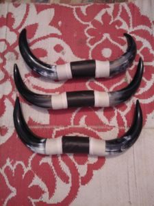 Natural Animal Style Drinking Horn <b>Set</b> Nautical Home Wall Decor Pair Horns From India - Product Image 4