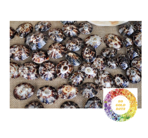 Conchas marinas de Lapa pulidas sostenibles: abastecimiento ecológico para manualidades y diseño de interiores. - Product Image 6