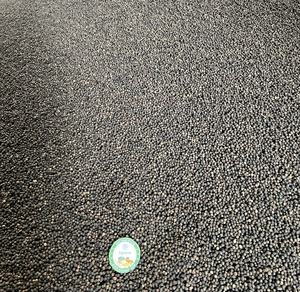 สมุนไพรพริกไทยดำขาวบริสุทธิ์จากธรรมชาติผลิตจาก100% เครื่องเทศเครื่องเทศเดียวของเวียดนาม - Product Image 5