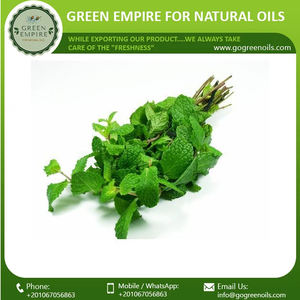 น้ำมันหอมระเหยเปปเปอร์มินท์ออร์แกนิกจากธรรมชาติน้ำมันหอมระเหยบำรุงผิวจำนวนมาก - Product Image 2