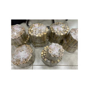 Premium <b>Natural</b> Bamboo Poles <b>Tube</b> for Garden Support and Decoration Eco Friendly Material from Vietnam - Product Image 6