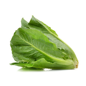 ผักพรีเมี่ยม: ใบลำต้นและเมล็ดพืชสำหรับสลัดซุปแซนวิชห่อและย่างจากการขายดี - Product Image 1