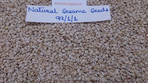 Graines de sésame - Product Image 6