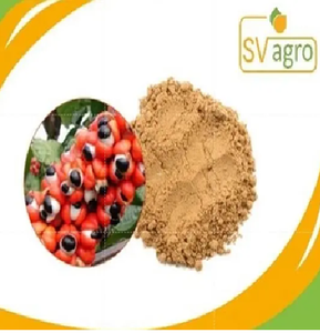 Vente en gros d'extrait de guarana naturel en poudre à haute teneur en caféine Booster d'énergie Approvisionnement en vrac pour les boissons de suppléments - Product Image 2