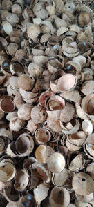 Cáscara de Coco Cruda de Vietnam, Suministro a Granel, Ideal para el Procesamiento de Carbón Vegetal y la Producción Artesanal, Grado de Exportación - Product Image 2