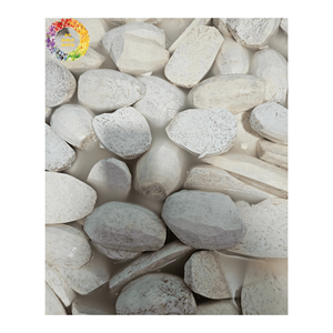 Taro congelé IQF Premium: taro pelé et prêt à l'emploi IQF, parfait pour les acheteurs en gros et les fabricants de produits alimentaires - Product Image 5