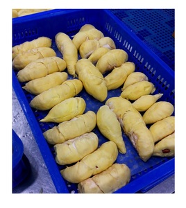 ราคาที่ดีที่สุดขายส่งเนื้อทุเรียนแช่แข็ง ทุเรียนพรีเมี่ยมแช่แข็ง ขั้นต่ําขั้นต่ําพร้อมส่งจากเวียดนาม - Product Image 6