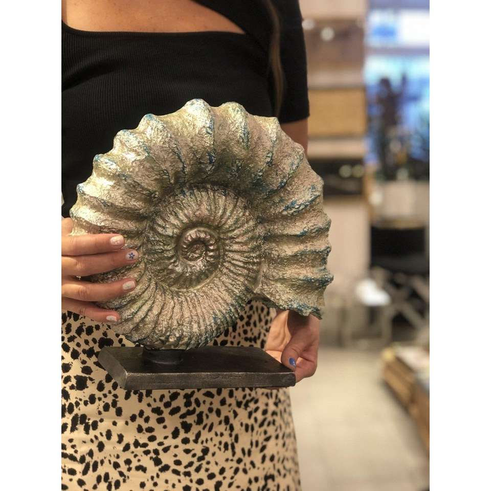MeGg Ammonite Fossil Decor