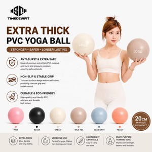 Mini Pelota de <span class=keywords><strong>Yoga</strong></span>/Pilates de PVC Mate de 9 Pulgadas (20-25 cm), con Logotipo Personalizado, Plástico Suave, para Fitness y Gimnasia, a Prueba de Explosiones, Incluye Bomba - Product Image 1