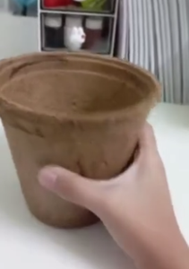 Pot en fibre de coco biodégradable, pot de plantation écologique pour semis, pépinière et jardinage // Mme Lily - Product Image 4
