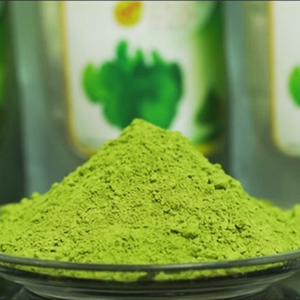 Polvo de gotu kola verde natural con textura suave de malla fina y alta pureza para exportación y distribución local - Product Image 6