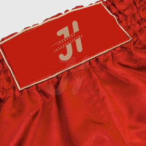 Pantalones cortos Muay Thai para hombre hechos a medida de alta calidad superventas para usar en artes marciales - Product Image 4