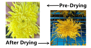 เครื่องอบเนื้อผลไม้แบบตาข่ายลมร้อน24ถาดเตาอบเนื้ออบแห้งแบบหมุนเวียนเตาอบลมร้อน - Product Image 2