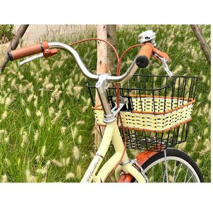 "Enfants vélos accessoires pièces enfants vélo économies de coûts, flexibilité du fabricant du Vietnam meilleur prix" - Product Image 1