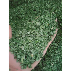 1. Ägyptische <span class=keywords><strong>Moringa</strong></span>-Samen
2. ganze <span class=keywords><strong>Moringa</strong></span> Samen aus Ägypten
3. <span class=keywords><strong>Moringa</strong></span> <span class=keywords><strong>Oleifera</strong></span> Samen (ägyptischer Ursprung)
4. Drums tick Samen von - Product Image 3