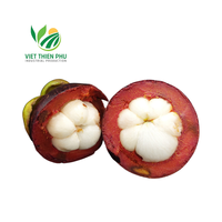Vietnam Verse Mangosteen/Hoogwaardig Standaardfruit