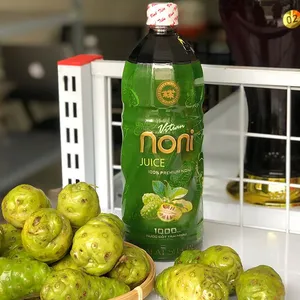Vietnam morinda jus India mulberry kaleng jus Morinda citrifolia tanaman baru