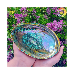 High Grade Natural <b>Abalone</b> <b>Shells</b> Bulk Supply For DIY Crafts Handicraft Products Natural Crafts Seashell Decoration Blue Colors - Product Image 4