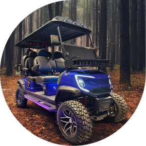 Vente en gros de voiturette de golf électrique intelligente 4 + 2 places à batterie au lithium au meilleur prix - Product Image 3