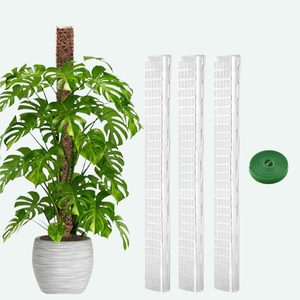 Poteau de mousse modulaire en forme de D, recouvert de plastique, 48 pouces, extensible à clipser, pour serre, support simple pour plantes, outils de jardinage - Product Image 1