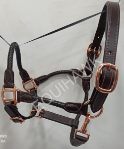 Licol de cheval fantaisie intelligent cuir tricoté roulé Design laiton matériel or Rose polonais Style occidental Nylon accessoires anglais - Product Image 6
