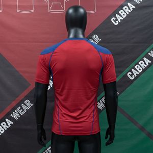 Rashguard de Artes Marciales Personalizado, Anti-UV, Transpirable, Ecológico, 100% Poliéster |   Ropa de Entrenamiento de BJJ y MMA |   Secado Rápido, Protección Solar UPF50+ - Product Image 3