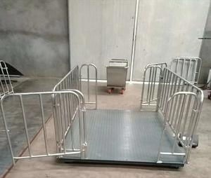 Caisses de mise bas neuves au prix d'usine, équipement essentiel pour l'élevage porcin, garantie d'un an, vente en gros - Product Image 5