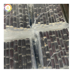 Caña de azúcar congelada de primera calidad Etiqueta limpia sin gluten Suministro al por mayor a granel de Vietnam para bares de jugos Hoteles e industria alimentaria - Product Image 1