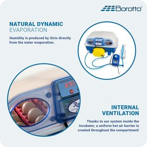Incubateur à œufs intelligent de taille moyenne Real 24 Expert Borotto entièrement automatique pour 24 œufs, incubateur à œufs professionnel fabriqué en Italie - Product Image 5