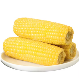 Maíz OGM o NO OGM / Maíz / Maíz Amarillo y Maíz Blanco para Alimentación Humana y Animal - Product Image 4