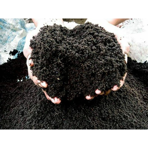 Cao cấp Giun đất đúc/100% phân bón tự nhiên/thân thiện với môi lựa chọn/sản xuất tại Việt Nam - Product Image 4