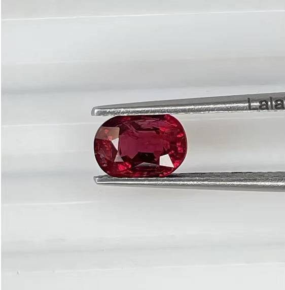 นกพิราบสีแดง