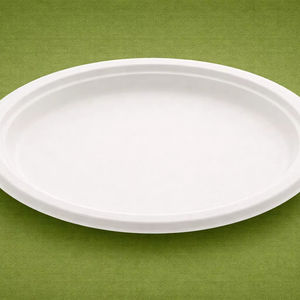 Plato Desechable Ecológico Biodegradable y Compostable de Bagazo de Caña de Azúcar de 10 Pulgadas para Cenas y Restaurantes, 500 Piezas/Caja - Product Image 1