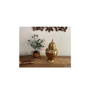 Jarrón de Jengibre de Diseño Moderno, Metal Latón Hecho a Mano, Decoración Ecológica para el Hogar, Color Plateado, Accesorio de Cocina para Almacenamiento de Alimentos - Product Image 4