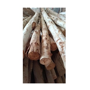 Eucalyptus Wood Round Logs for Packaging – <b>Crates</b>, Pallets, and Industrial Manufacturing - Product Image 3