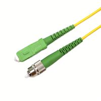 Kabel Patch Fiber Telekomunikasi Kecepatan Tinggi 40Gb 2m Single Mode Konektor FC/SC/APC dengan Gantungan untuk Jaringan dan Pusat Data