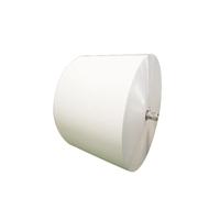 Clay White Paperboard with Grey Back Single Side PE Coating Duplex Board