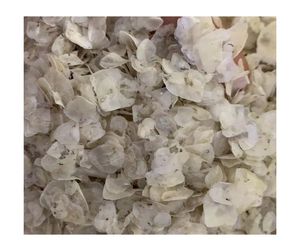 เครื่องชั่งน้ำหนักปลาจากเวียดนามเกรดพรีเมี่ยม-เกล็ดปลานิลและปลากะพงแห้งอย่างดีไม่ใส่สารกันบูดสำหรับโรงงานเจลาตินคอลลาเจน - Product Image 5