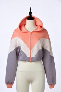 Grey <b>Distressed</b> Applique Crop Hoodies Best Material Customized Logo Available In All Color Women Hoodies - Product Image 4