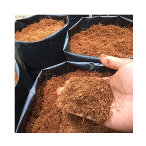 Turba de coco orgánica pura excelente para aplicaciones de vivero e invernadero de Horticultura sostenible y biodegradable - Product Image 3