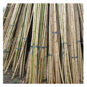Tubo de poste de bambú de Vietnam para proyectos de muebles decorativos, enrejado de jardín, fabricación de plantas, artesanías de estaca, Material limpio Natural - Product Image 6